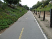 A picture of the trail